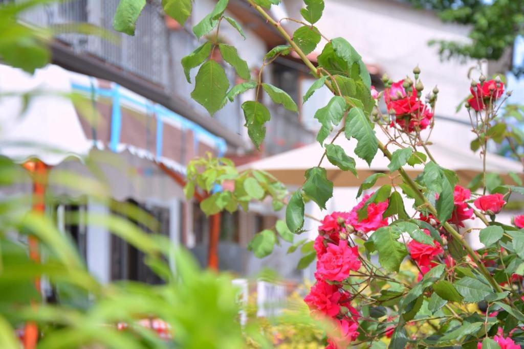 Agriturismo Sul Sentiero Pianillo ภายนอก รูปภาพ